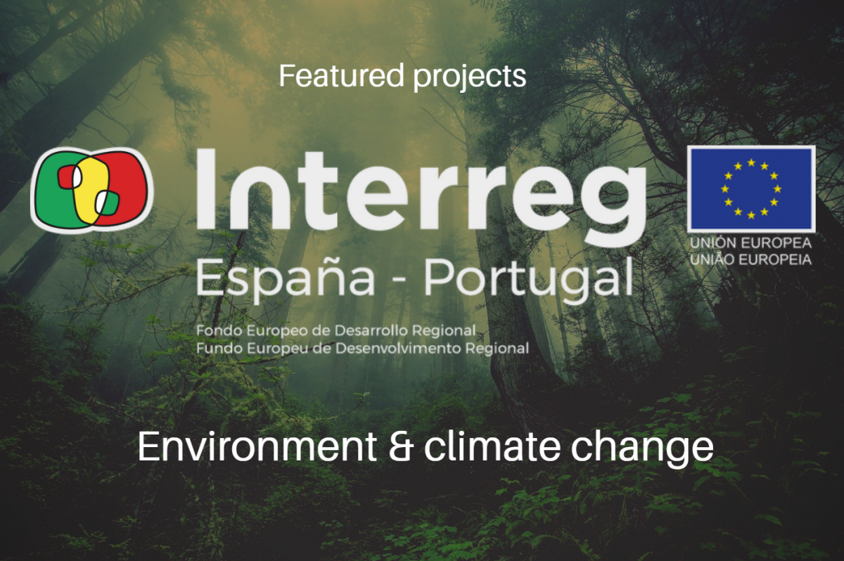 Proyectos: Medioambiente y cambio climático