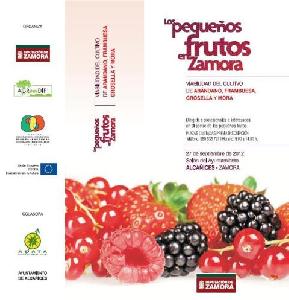 Proyecto “AGRINNDIF” organiza jornada técnica sobre la viabilidad del cultivo de “pequeños frutos” (Zamora, 27/09/2012)