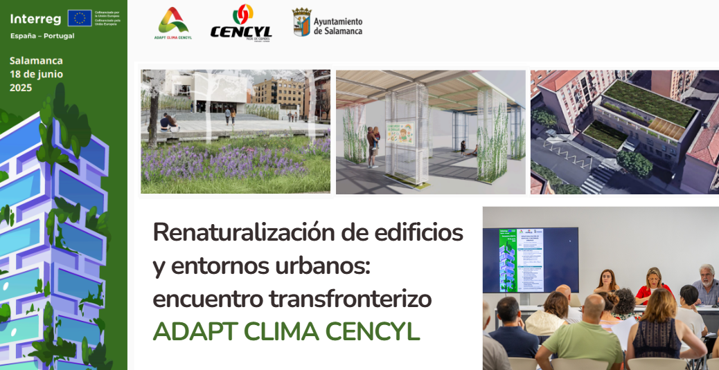 Soluções verdes face à crise climática: fórum transfronteiriço sobre renaturalização urbana