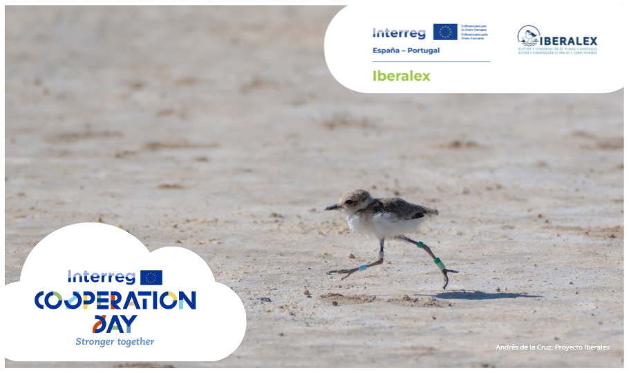 IBERALEX celebra el Interreg Cooperation Day 2025 con actividades en 6 localidades
